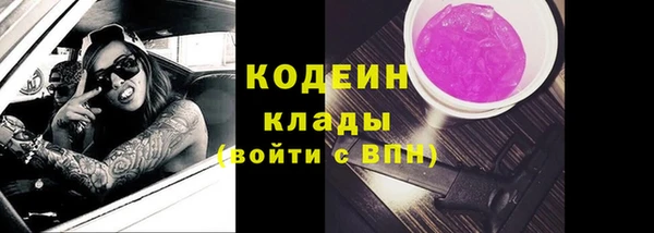 соль ск Верхний Тагил