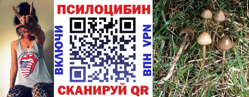 Псилоцибиновые грибы Psilocybine cubensis  Купить закладки  Барыш 