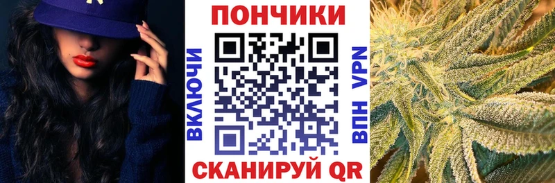 Бошки Шишки OG Kush Купить Барыш